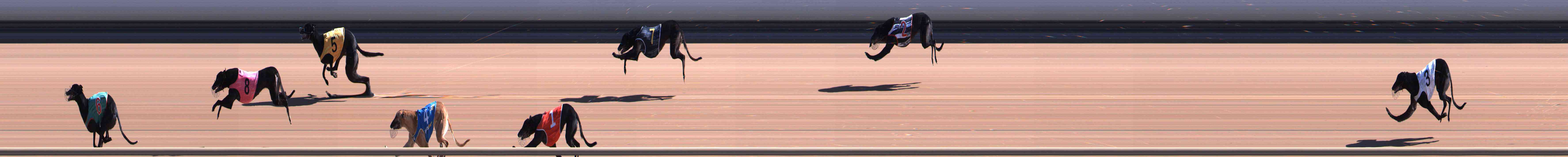 Race result finish photo